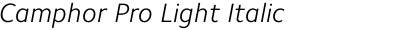 Camphor Pro Light Italic